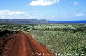 Mo'omomi Dunes