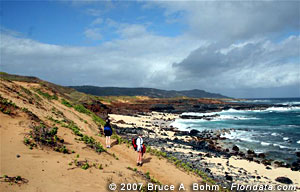 oceanside trail to Mo'omomi Dunes