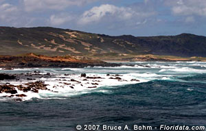 dune across the bay