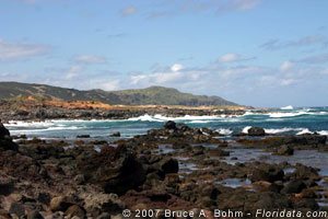 coastline of Molokai