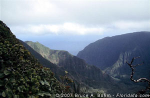 Pelekunu Valley