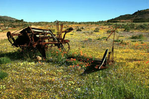 discarded harvesting equipment