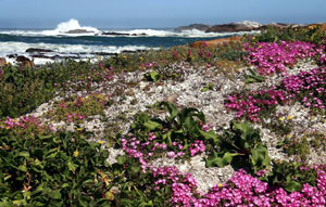 Atlantic Ocean