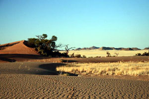 Namib Desert