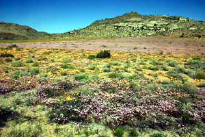 Goegab Nature Preserve