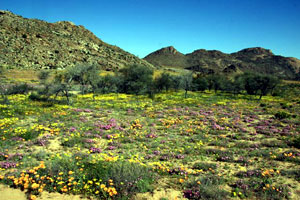 Goegab Nature Preserve