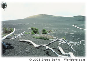 lava cone