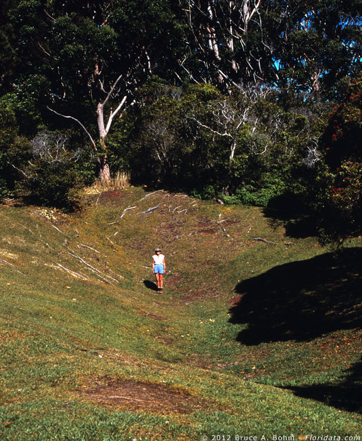 sandalwood measuring pit